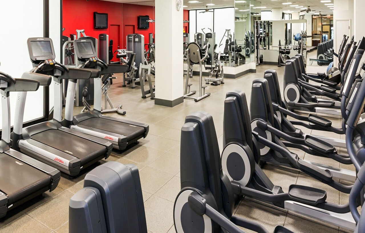 Hilton Chicago O'hare Airport Hotel 4*